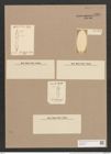 Synedra gaulardi Breb. et Arndt (de-Toni-Nr.: Genus 66, Species 2585) Zeichnungen Sammlung Grunow Nr. 5243 (NHMW-BOT-W0373617)